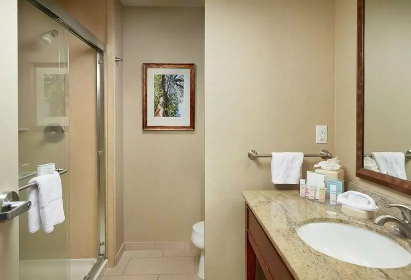 اتاق استاندارد, Hampton Inn & Suites Salem, Or
