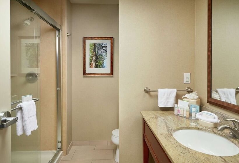 프리미엄 룸, Hampton Inn & Suites Salem, Or