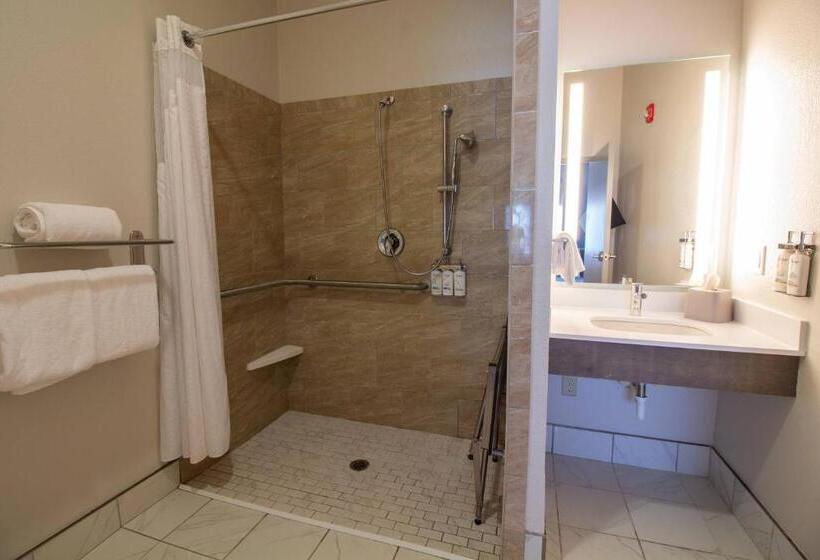 Номер Стандарт Кровать Кинг Адаптированный для Инвалидов, Holiday Inn Express Leland   Wilmington Area, An Ihg