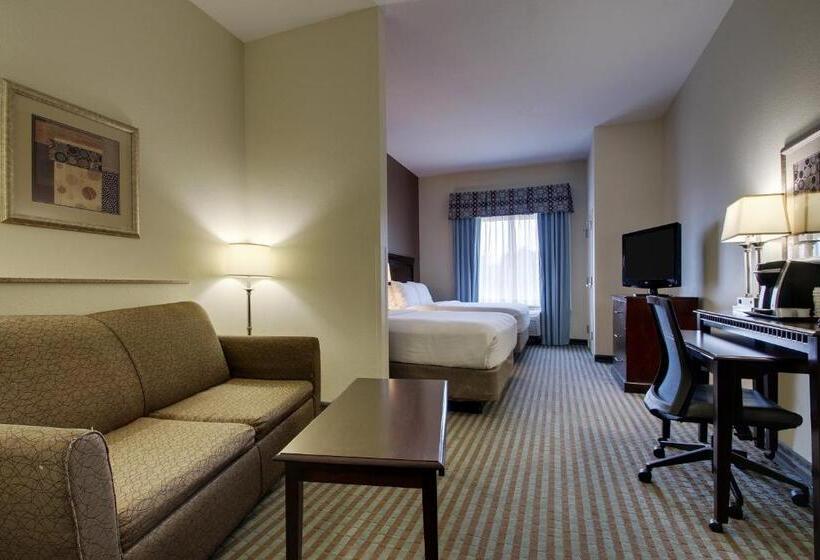 エクゼクティブルーム, Holiday Inn Express Leland Wilmington Area, An Ihg