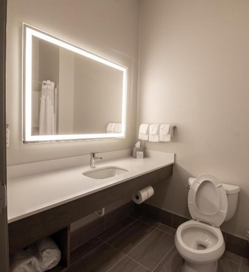 Номер Стандарт Кровать Кинг Адаптированный для Инвалидов, Holiday Inn Express Leland   Wilmington Area, An Ihg