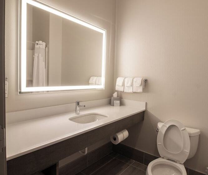 スタンダードルーム, Holiday Inn Express Leland Wilmington Area, An Ihg