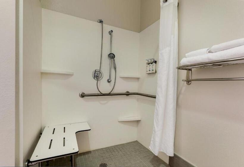 身障者適用キングサイズベッドルーム, Holiday Inn Express Leland Wilmington Area, An Ihg