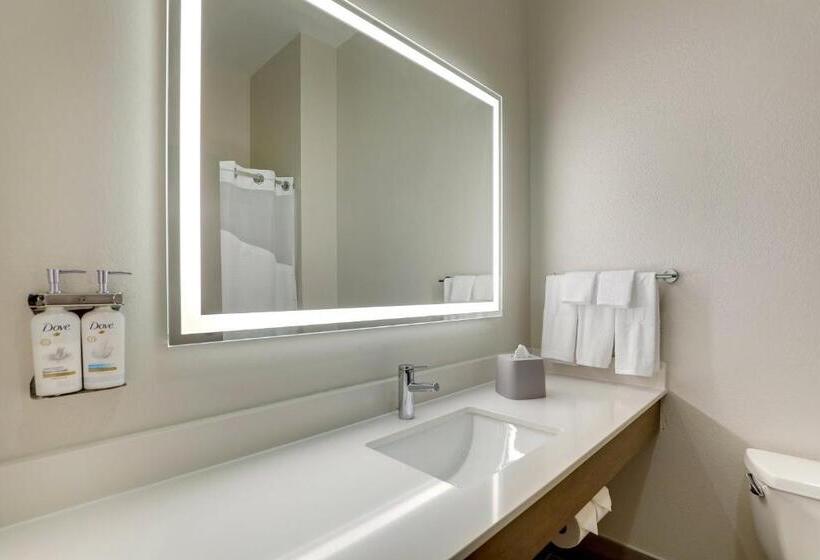 エクゼクティブルーム, Holiday Inn Express Leland Wilmington Area, An Ihg