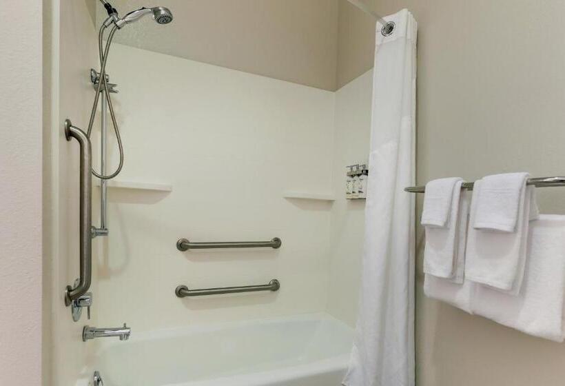 身障者適用スタンダードルーム, Holiday Inn Express Leland Wilmington Area, An Ihg