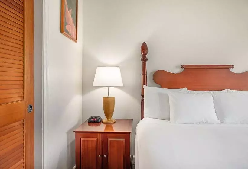 اتاق استاندارد با تخت دوبل, Maui Beach