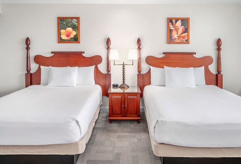 جناح مطلّ علي البحر, Maui Beach