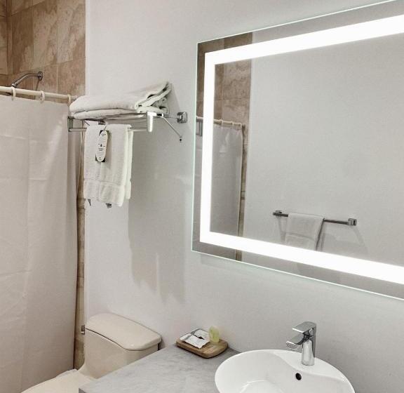 غرفة قياسية سرير كينج, Mirador Plaza