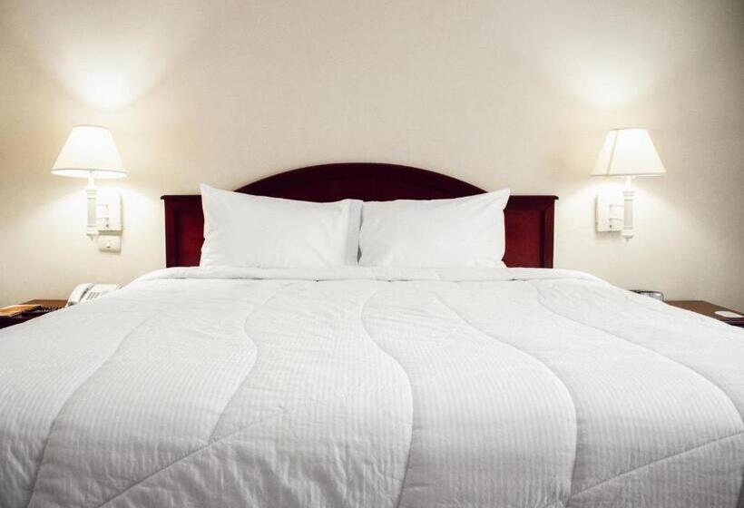 غرفة قياسية سرير كينج, Mirador Plaza