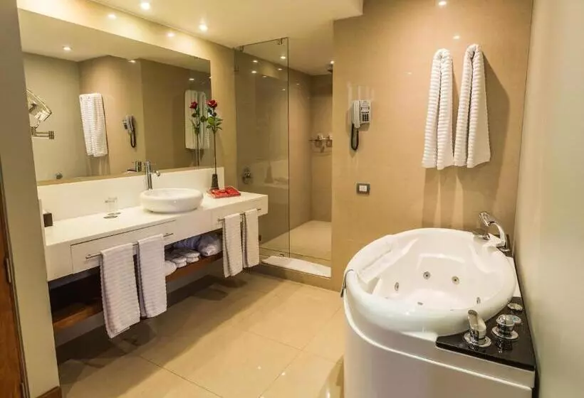 Suite with Terrace, Noi Vitacura
