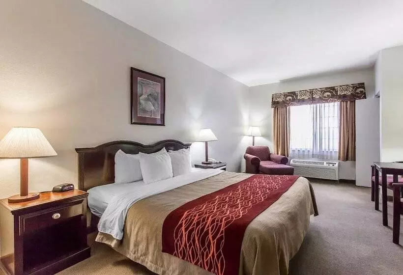 ダブルベッドスタンダードルーム, Quality Inn & Suites