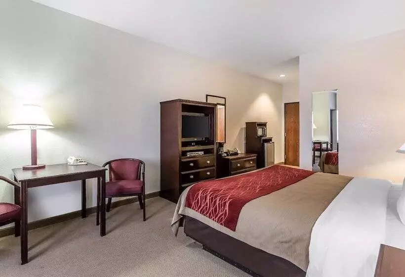 ダブルベッドスタンダードルーム, Quality Inn & Suites