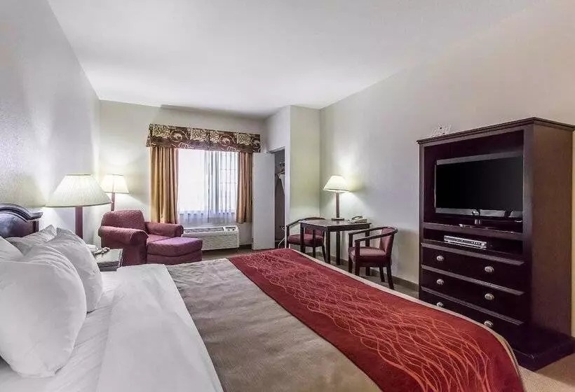 ダブルベッドスタンダードルーム, Quality Inn & Suites