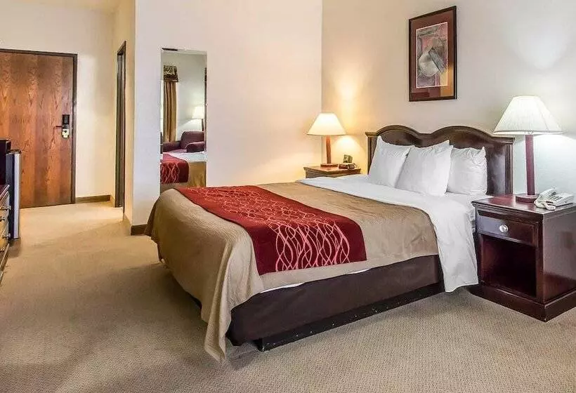 ダブルベッドスタンダードルーム, Quality Inn & Suites