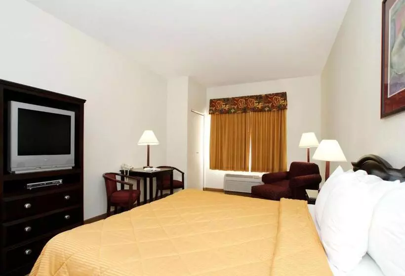 キングサイズベッドのスタンダードルーム, Quality Inn & Suites