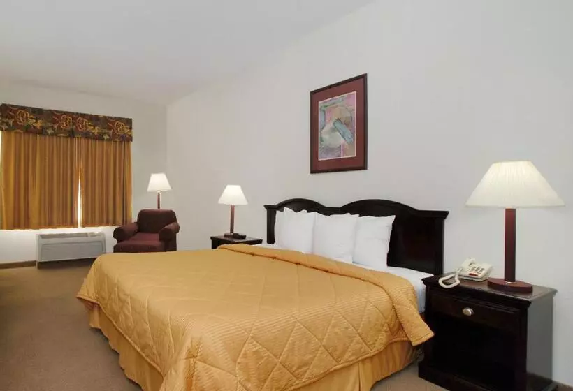 キングサイズベッドのスタンダードルーム, Quality Inn & Suites