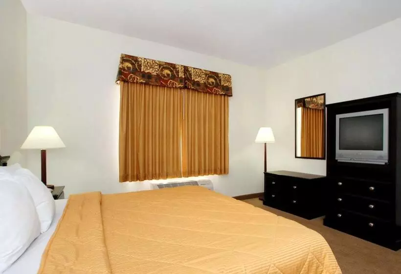 キングサイズベッドのスタンダードルーム, Quality Inn & Suites