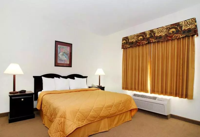 ダブルベッドスタンダードルーム, Quality Inn & Suites