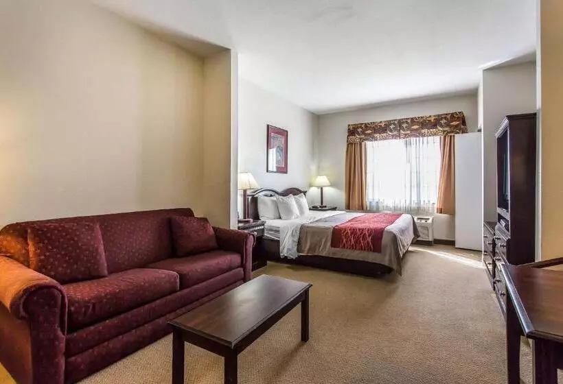 キングサイズベッドのスイートルーム, Quality Inn & Suites