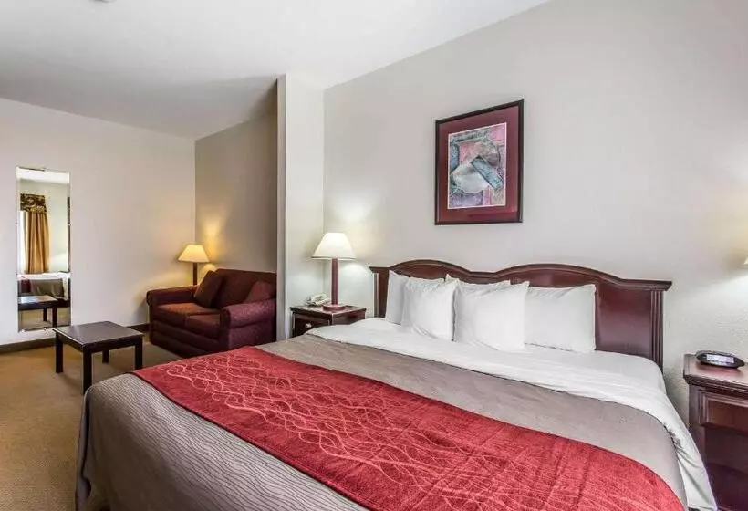 キングサイズベッドのスイートルーム, Quality Inn & Suites