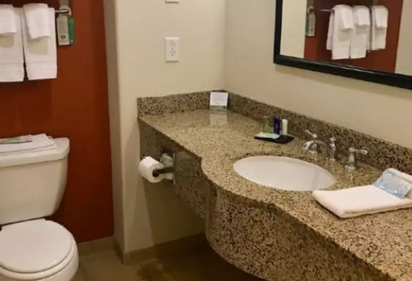 身障者適用スイートルーム, Sleep Inn & Suites Lawton Near Fort Sill