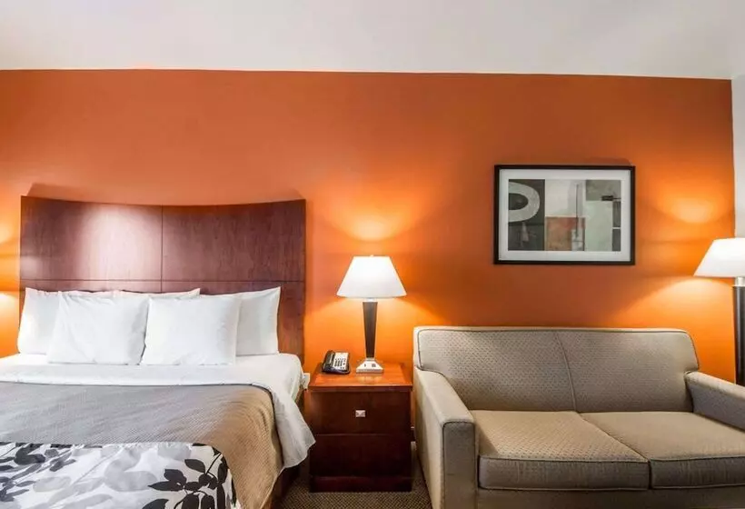身障者適用スイートルーム, Sleep Inn & Suites Lawton Near Fort Sill