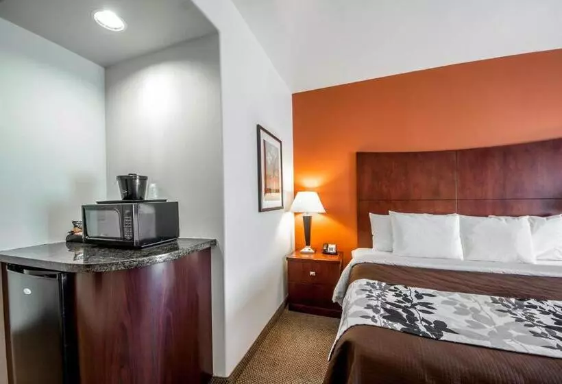 キングサイズベッドのスタンダードルーム, Sleep Inn & Suites Lawton Near Fort Sill