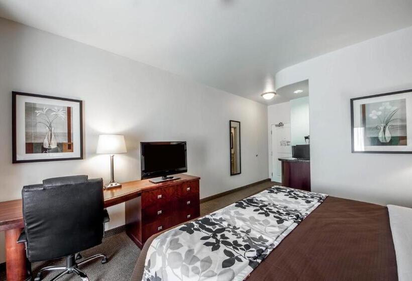 غرفة قياسية سرير كينج, Sleep Inn & Suites Lawton Near Fort Sill
