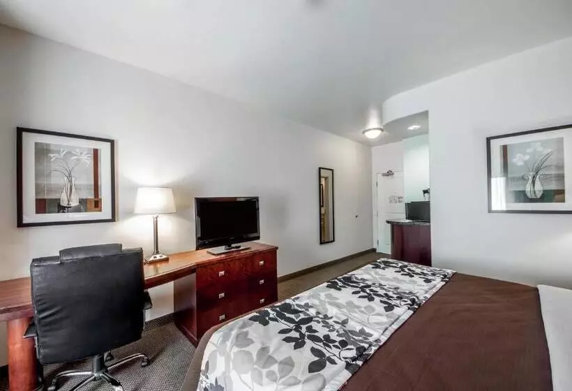 キングサイズベッドのスタンダードルーム, Sleep Inn & Suites Lawton Near Fort Sill