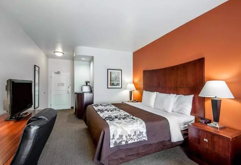 キングサイズベッドのスタンダードルーム, Sleep Inn & Suites Lawton Near Fort Sill