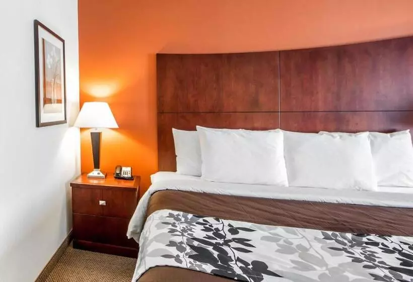 キングサイズベッドのスタンダードルーム, Sleep Inn & Suites Lawton Near Fort Sill