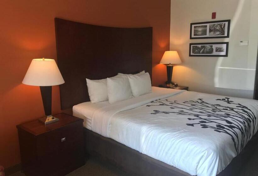 스탠다드 룸 킹사이즈 침대, Sleep Inn & Suites Lawton Near Fort Sill