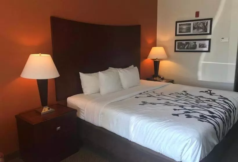 キングサイズベッドのスタンダードルーム, Sleep Inn & Suites Lawton Near Fort Sill