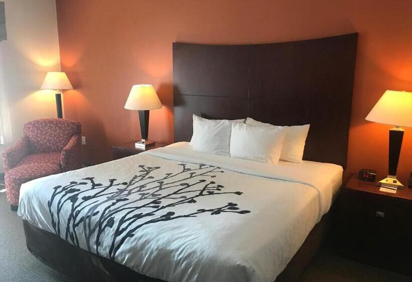 غرفة قياسية سرير كينج, Sleep Inn & Suites Lawton Near Fort Sill