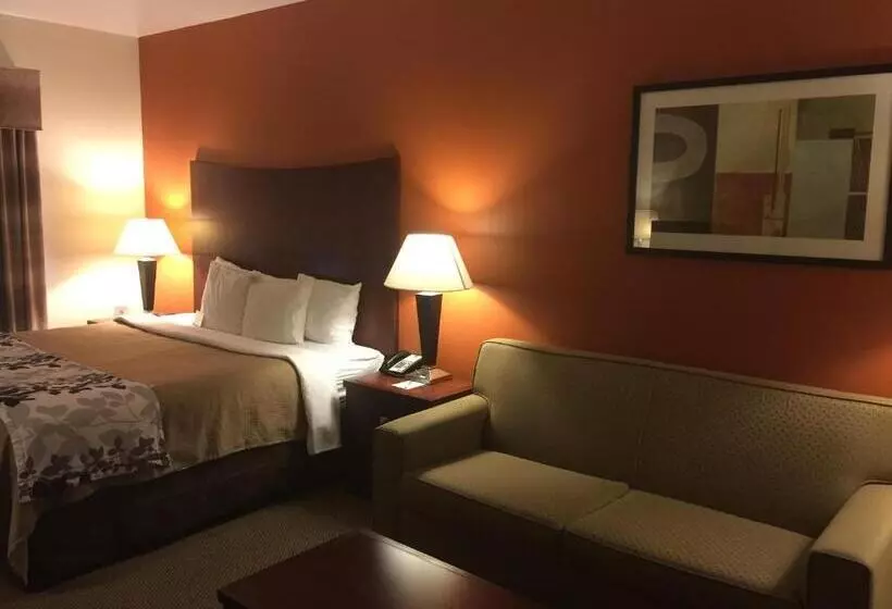 キングサイズベッドのスイートルーム, Sleep Inn & Suites Lawton Near Fort Sill