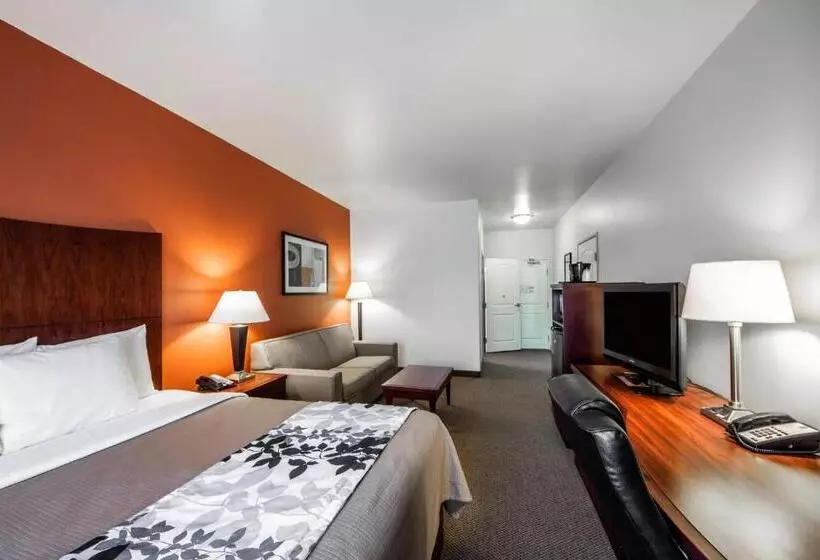 キングサイズベッドのスイートルーム, Sleep Inn & Suites Lawton Near Fort Sill
