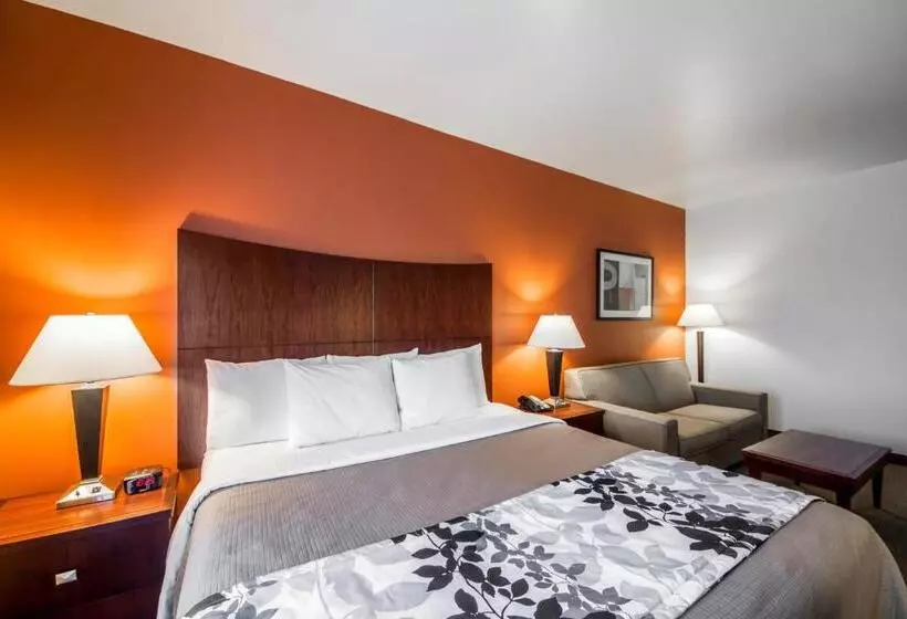 キングサイズベッドのスイートルーム, Sleep Inn & Suites Lawton Near Fort Sill
