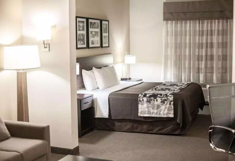身障者適用スイートルーム, Sleep Inn & Suites Indoor Waterpark