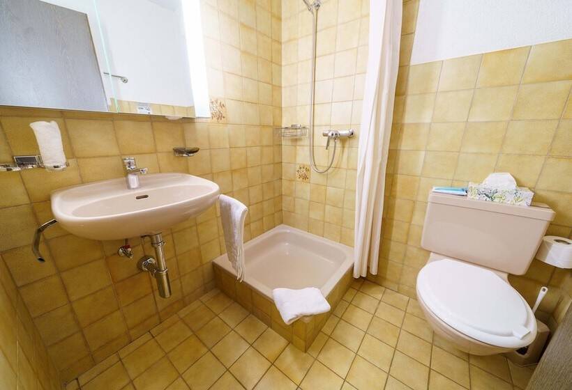 高级单人间, Toggenburg