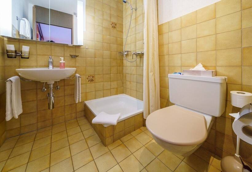 高级大房间, Toggenburg