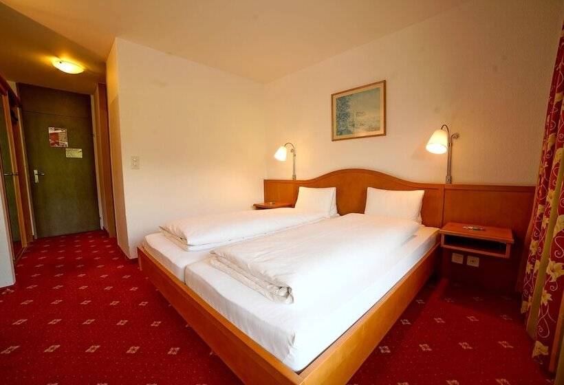 高级大房间, Toggenburg