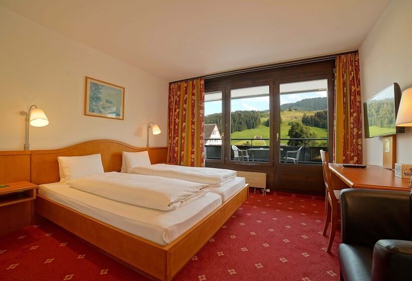 高级大房间, Toggenburg