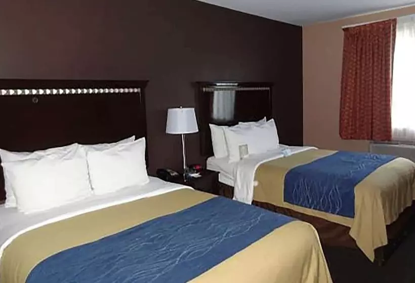 اتاق استاندارد با 2 تخت دوبل, Travelodge By Wyndham Ozone Park