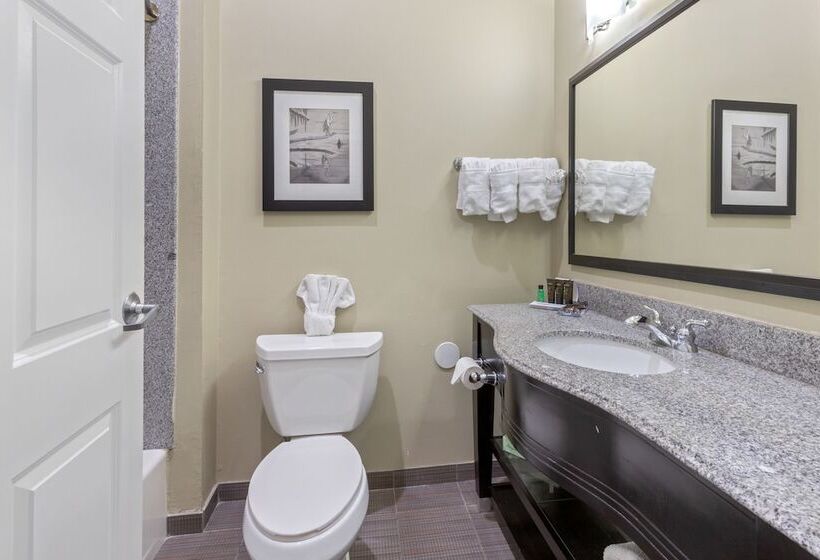 سوئیت با تخت بزرگ, Wingate By Wyndham Lake Charles Casino Area