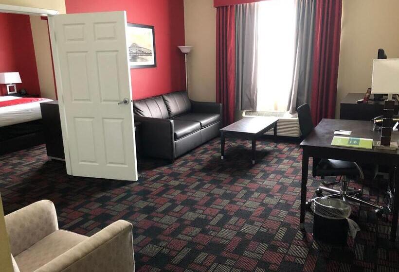 سوئیت با تخت بزرگ, Wingate By Wyndham Lake Charles Casino Area