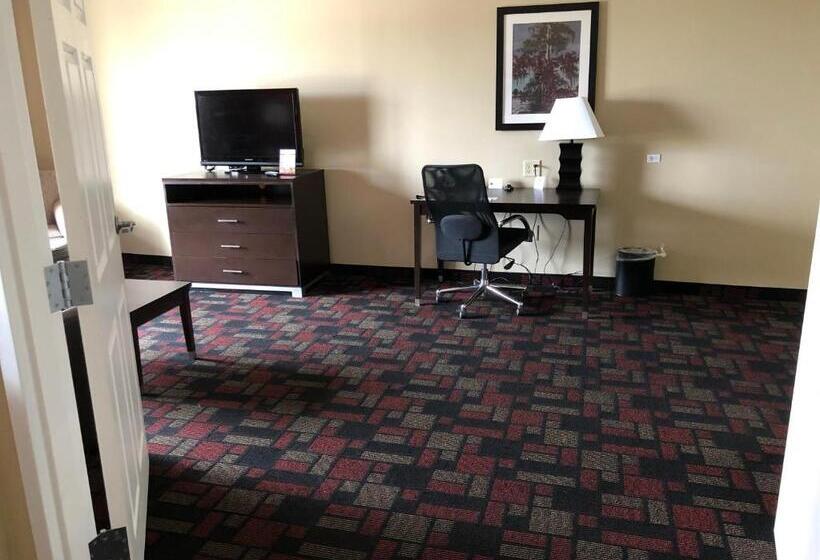 سوئیت با تخت بزرگ, Wingate By Wyndham Lake Charles Casino Area
