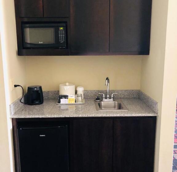 스위트 킹사이즈 침대, Wingate By Wyndham Lake Charles Casino Area