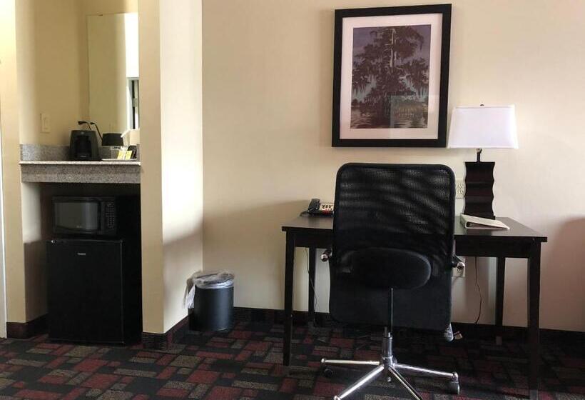 اتاق استاندارد, Wingate By Wyndham Lake Charles Casino Area