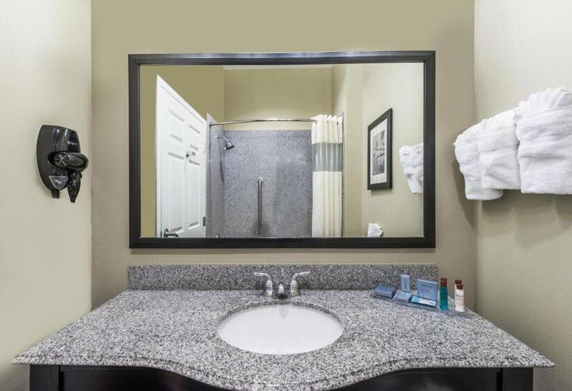 اتاق لوکس با تخت بزرگ, Wingate By Wyndham Lake Charles Casino Area