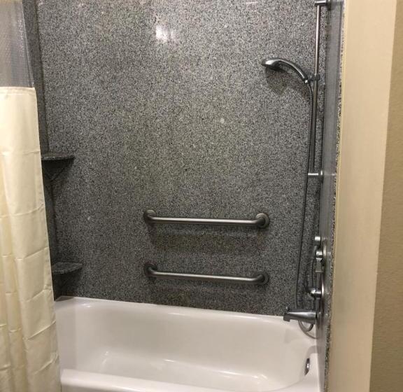 장애인을 위한 킹사이즈 침대 스탠다드 룸, Wingate By Wyndham Lake Charles Casino Area
